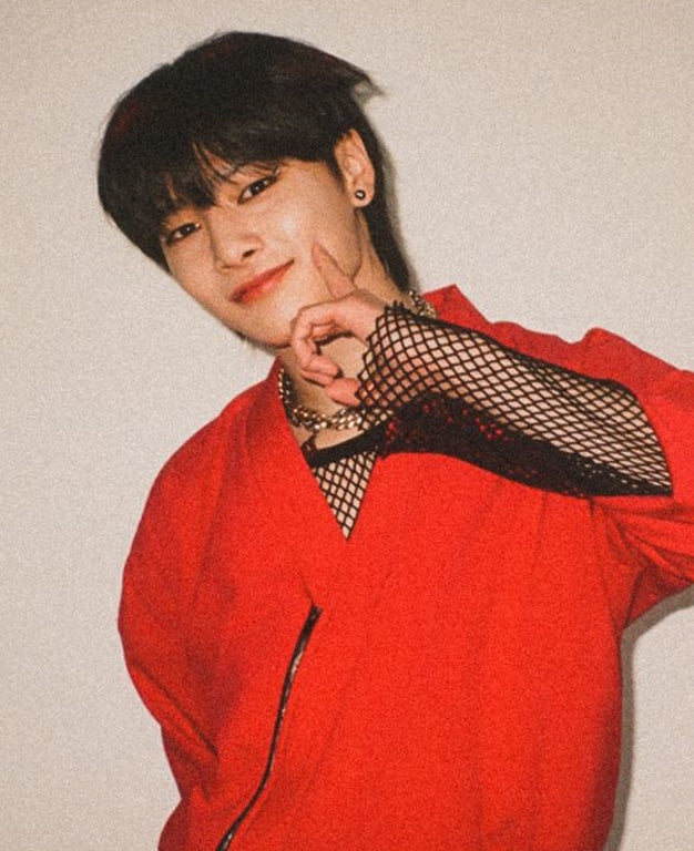 Stray Kids Jeongin Inspired Black Wide Mesh Top