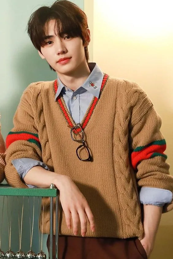 Enhyphen Sunghoon Inspired Brown V-Neck Sweater With Contrasting Linings