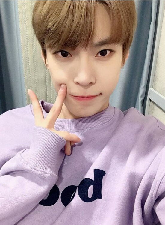 NCT Doyoung Inspired Lilac Booze Sweatshirt