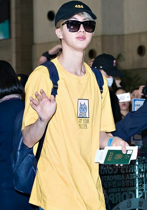 BTS Jin-Inspired Yellow Cat I Am Your Master T-Shirt