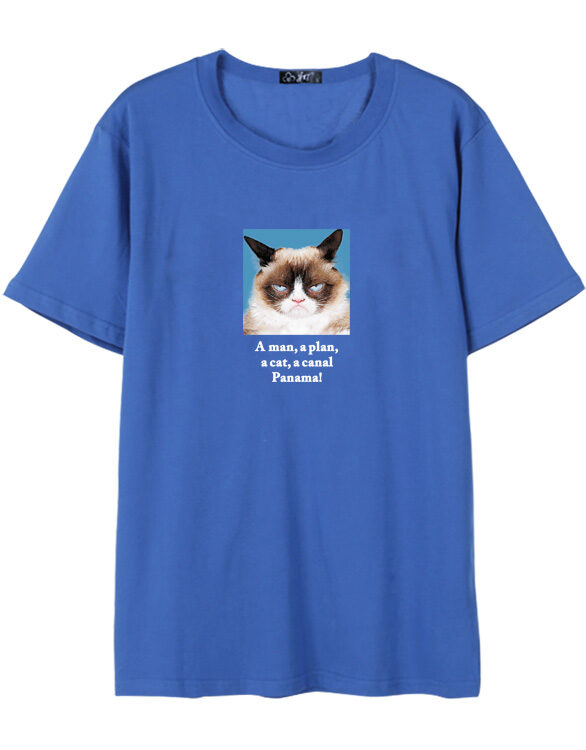 NCT Johnny Inspired Blue Grumpy Cat T-Shirt