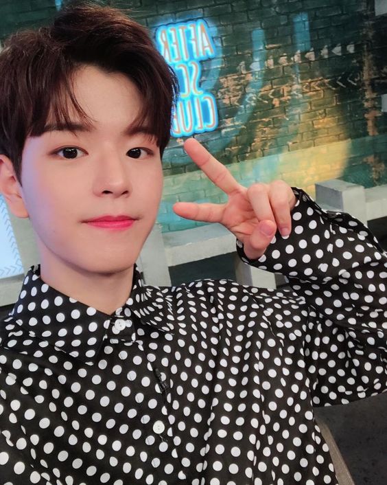 Stray Kids Seungmin Inspired Polka Dot Long Sleeve Shirt