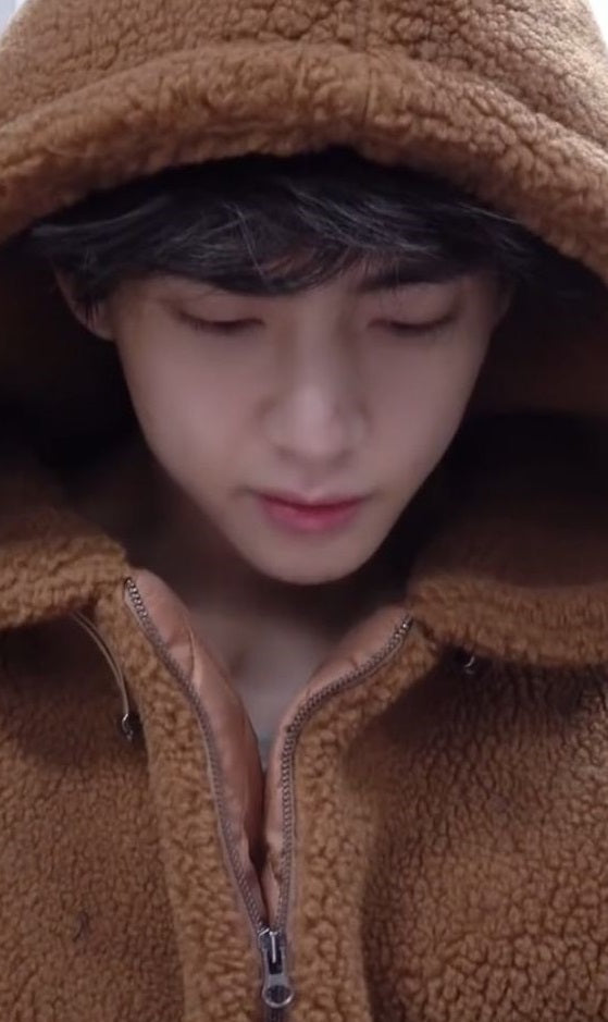BTS Taehyung Inspired Brown Hooded Fleece Jacket