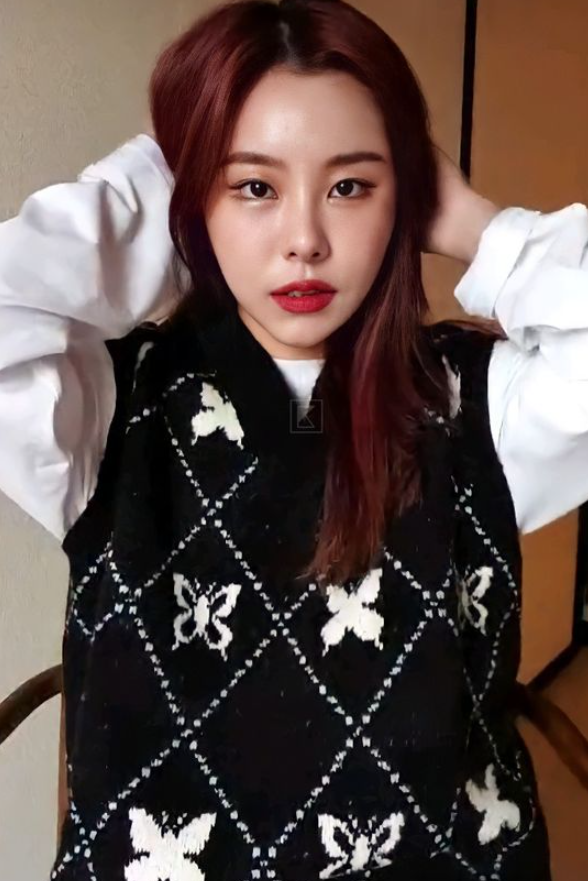 Mamamoo Wheein Inspired Black Butterfly Sweater Vest
