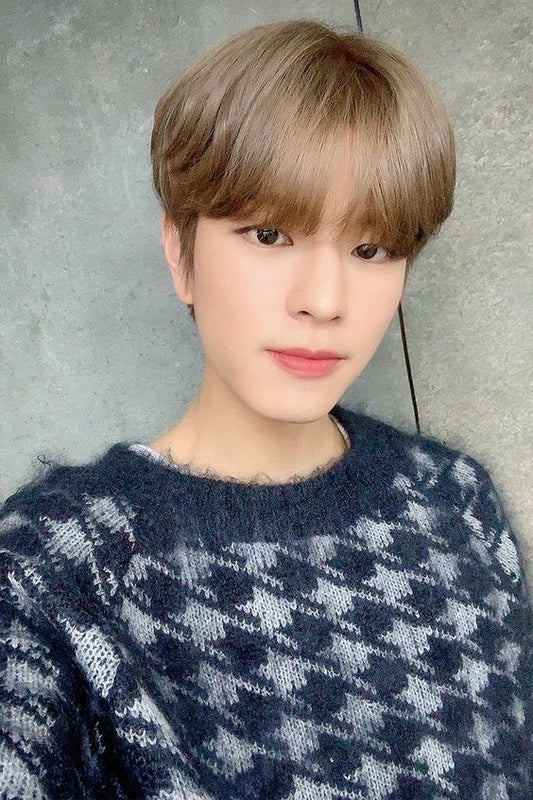 Stray Kids Seungmin Inspired Houndstooth Fleece Short Knitted Sweater
