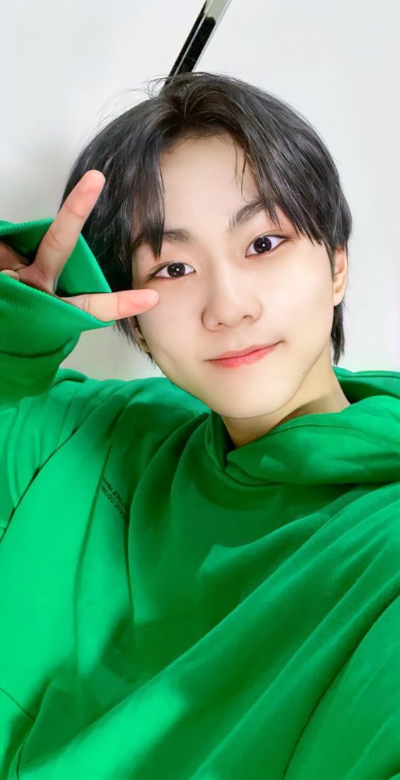 Enhyphen Jungwon Inspired Green Hoodie Sweater